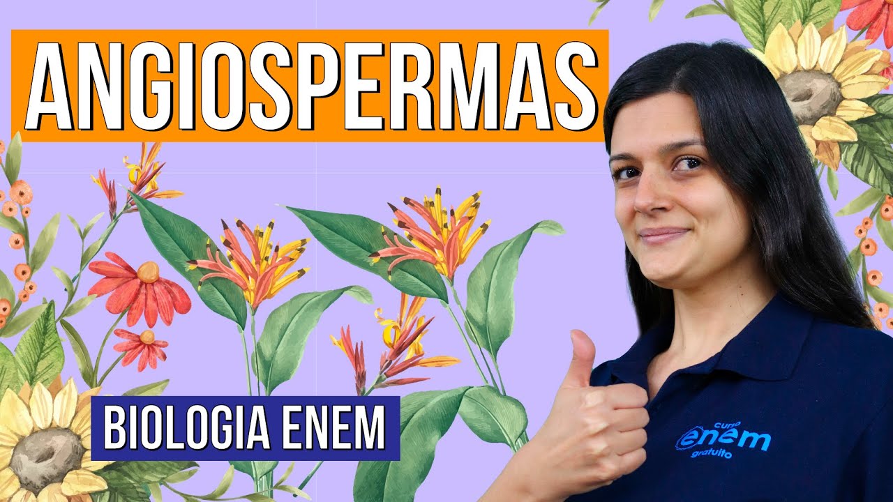 ANGIOSPERMAS: veja as características destas plantas. RESUMO DE BIOLOGIA ENEM. Profa Claudia Aguiar