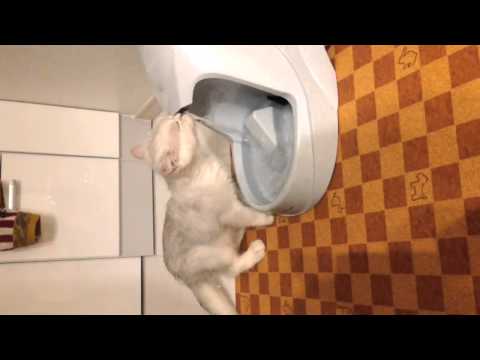 ドリンクウェル　プラチナム              