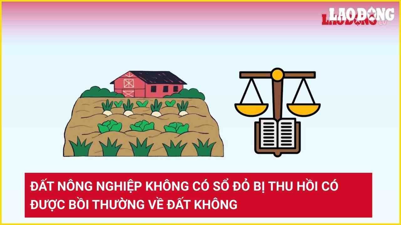 Đất nông nghiệp không có sổ đỏ bị thu hồi có được bồi thường về đất không?