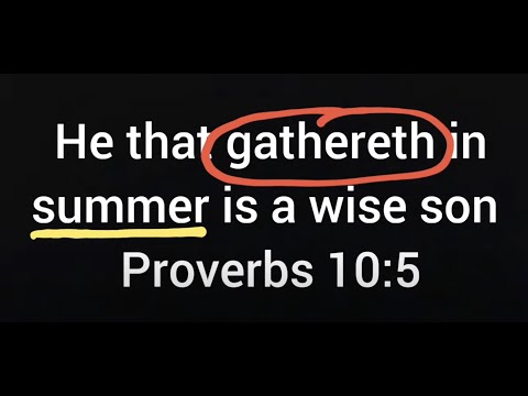 He that gathereth in summer is a wise son