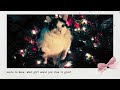 𝐼𝓉 𝓈 𝒯𝒾𝓂𝑒 ️ A Christmas Playlist Cozy Jazz Christmas Relaxing Holiday Jazz Mu