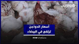 بعد فترة انخفاض.. أسعار الدواجن ترتفع في البيضاء وتجار يؤكدون على وفرة المعروض thumbnail