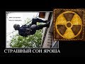 Правый сектор выступает против Дмитрия Яроша 