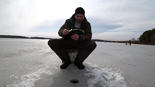 Клев рыбы волгоград новоникольское на 5 дней