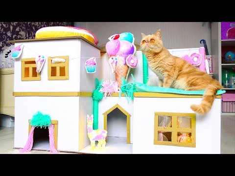 RESCUE  an abandoned CAT and Build a house for CATS  from Cardboard !