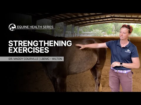 Are You Doing These 3 Easy Strengthening Exercises With Your Horse?