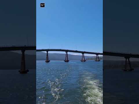 El Puente Cruces De Valdivia Chile es un viaducto que se encuentra ubicado en la Región de los Ríos,