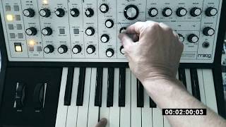 MOOG Sub Phatty How to make funky bass sound 4 min tutorial