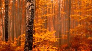 Dallas Green - This Sudden Injury (demo album)