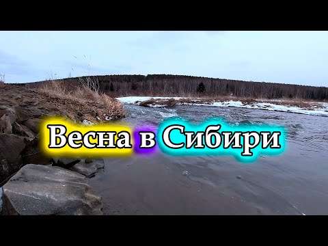 Природа в Сибири весной! Красноярский край, Манский район.