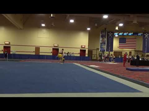 Shane Wiskus - Floor Exercise – 2019 Winter Cup Senior Prelims