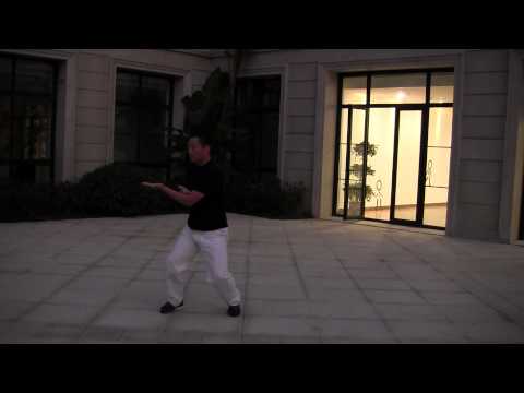 Taiji 8 Forms demonstration - Wang shifu