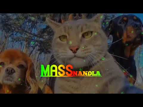 Sean_Rii_(Lo_u_Afola)_Lagu_Acara_Remix_Terbaru_2022(256kbps)