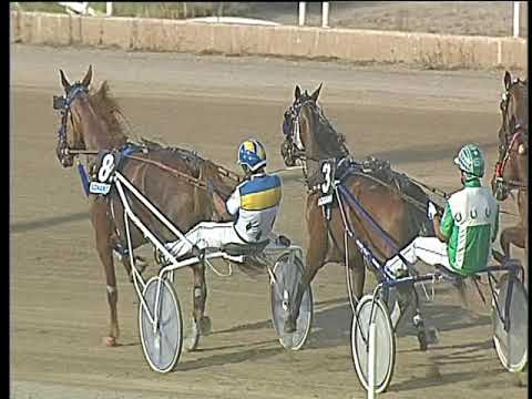 Trotto 08/09/2017 - 4ª corsa