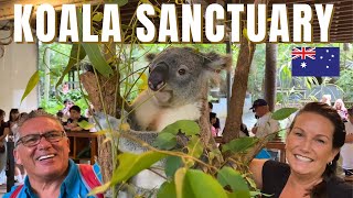 Koala Encounter Before Our Cruise! 🐨 | Lone Pine Koala Sanctuary, Brisbane Australia