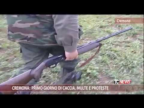 Cremona: first day of hunting fines and protests