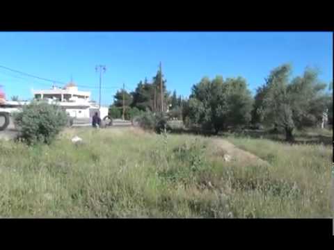 اشتباكات بين كتائب المعتز بالله وقوات النظام في اليادودة