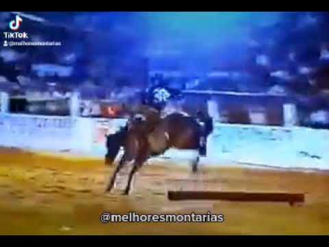 MARCO ANTONIO DA SILVA X COMISSÁRIO - RODEIO DE NOVO HORIZONTE 2002