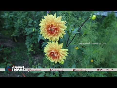 ന്യൂയോര്‍ക്കില്‍ പൂക്കളുടെ വര്‍ണപ്രപഞ്ചമൊരുക്കി ഈ മലയാളി | America Ee Azhcha 27 Sep 2021