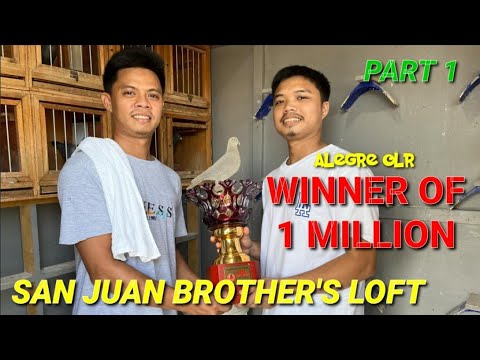ALEGRE OLR CALBAYOG LAP CHAMPION “SAN JUAN BROTHER’S LOFT. PART 1