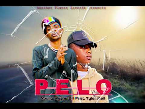 Young Wayne SA Feat. Tyler Mall-PELO (Official Audio)