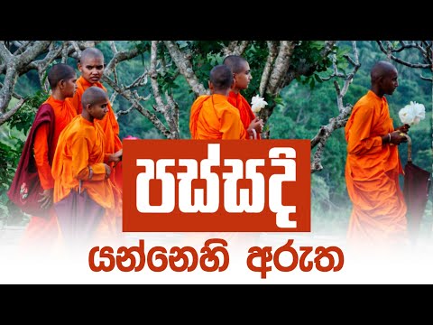 384. '' පස්සදි '' යන්නෙහි අරුත​.| Sadaham Teekawa
