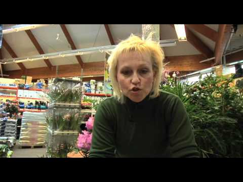 Trädgårdstips del 1 - Jord