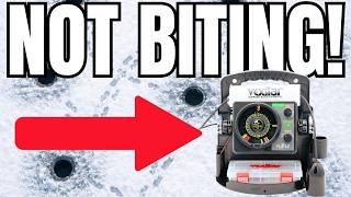 Fish Won’t Bite? Do These 10 Things!