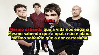 Skank  Eu Disse a Ela Karaoke