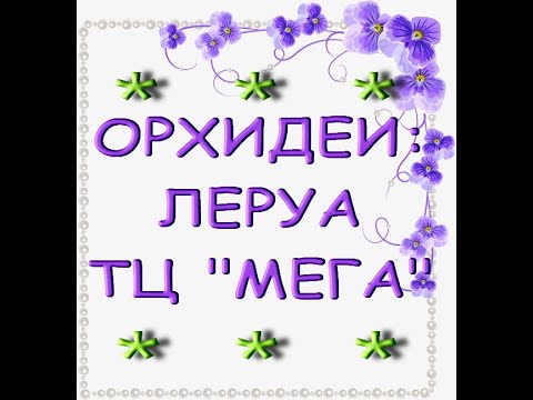 Леруа:ЗАВОЗ чудесных ОРХИДЕЙ,ТЦ "Мега",19.03.21,Самара.