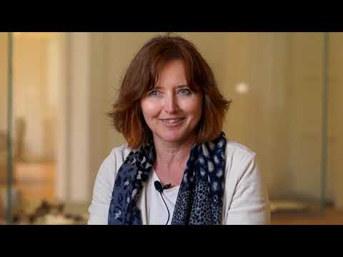 Thriving Streets in Nova Gorica