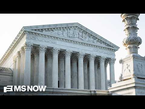 ‘If you are born here, you are an American’: Norm Eisen defends birthright citizenship ruling