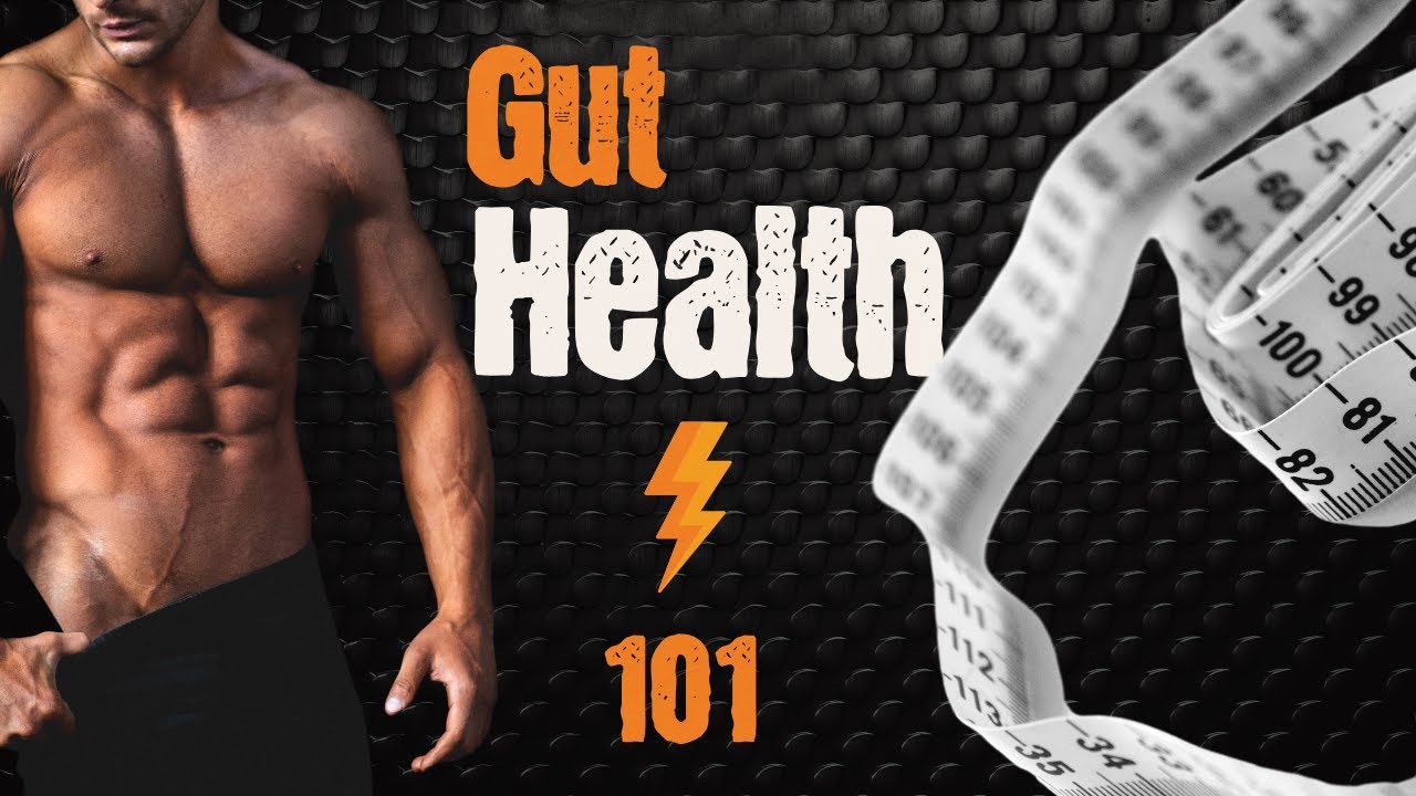Gut Health 101  Your Guide to Digestive