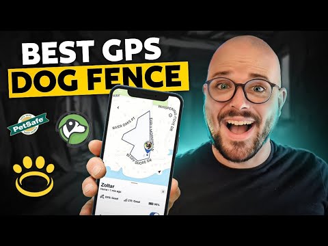 Best GPS Dog Fence for Your Dog & Property (2026 Review)
