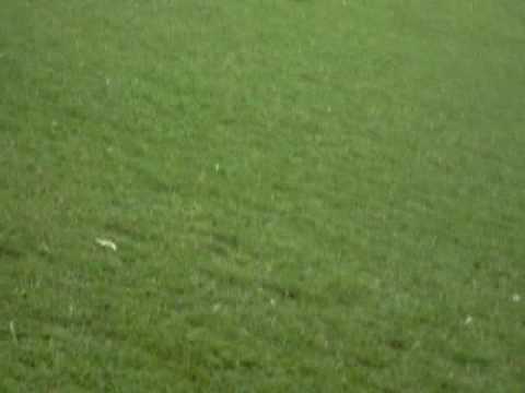 E.C VIDA LOKA CAMPEÃO COPA KAISER 2009