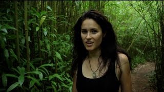 When The Wind Blows Kona