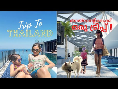 ബോറടിച്ചപ്പോൾ നേരെ തായ്‌ലൻഡ് ൽ പോയി 🤣  | Travel with NIKKI | ഒരു സ്വിമ്മിങ്പൂൾ അടിച്ചുപൊളി !