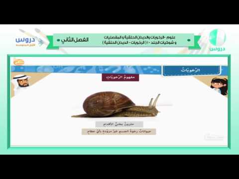 الاول المتوسط| الفصل الدراسي الثاني 1438 |علوم|الرخويات والديدان الحلقية والمفصليات وشوكيات الجلد-1