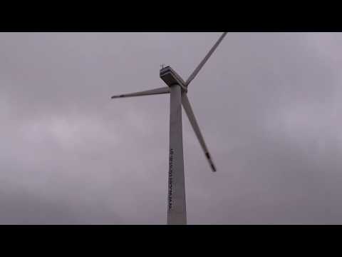 Wiatraki w Trzebuchowie gm. Osiek Mały