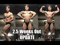 2019 BODYBUILDING PREP | 2.5 Weeks Out Contest Prep Update!