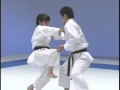 Kata Enpi Bunkai JKF