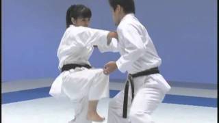 Download lagu Kata Enpi Bunkai JKF mp3
