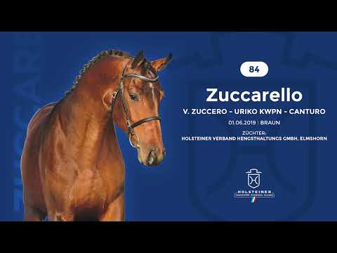 Verbandshengste 2022 - Zuccarello v. Zuccero-Uriko