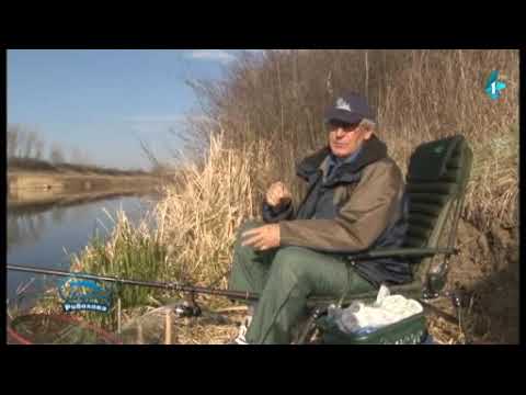 Čari Ribolova, Kanal DTD kod Novog Sada (17.02.2019)