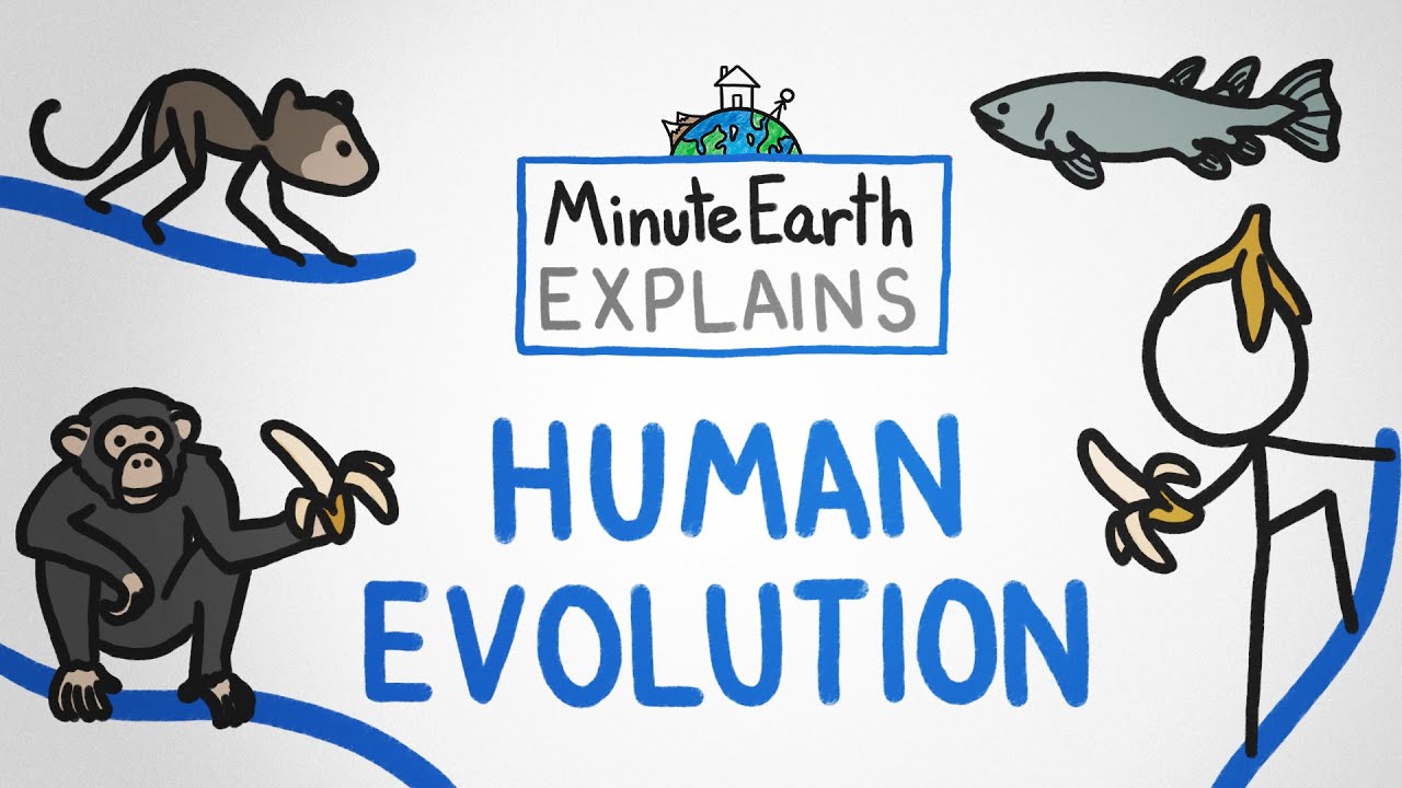 MinuteEarth Explains: Human Evolution