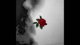 Rosas Music Video