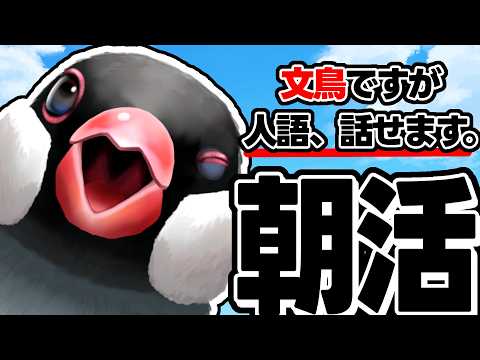 【朝活/初見歓迎】朝から!圧かけます!【新人VTuber】