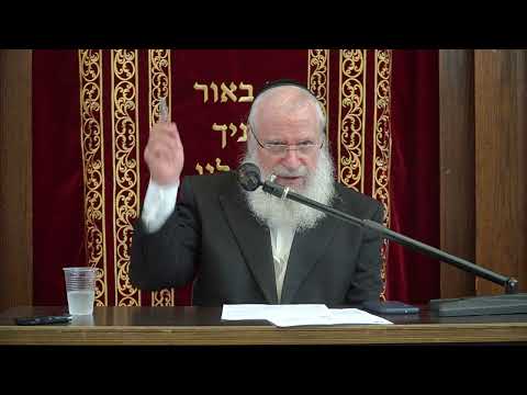 The Minhag of Burning Garments on Lag B'Omer | Weekly Shiur by Harav Asher Weiss Shlita | 5784
