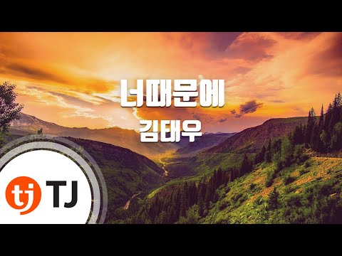 [TJ노래방] 너때문에 - 김태우(Kim, Tae-Woo) / TJ Karaoke