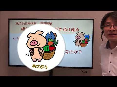 「食品安全学」より絶対に安全な食品を作る仕組み『HACCP』